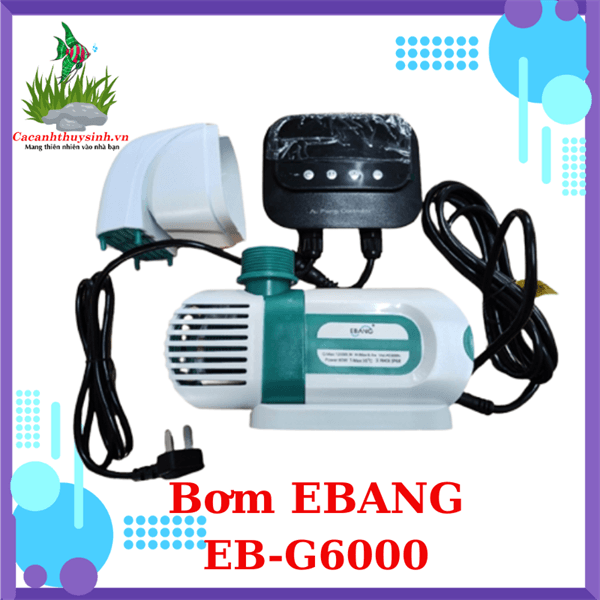 BƠM EBANG EB-G6000
