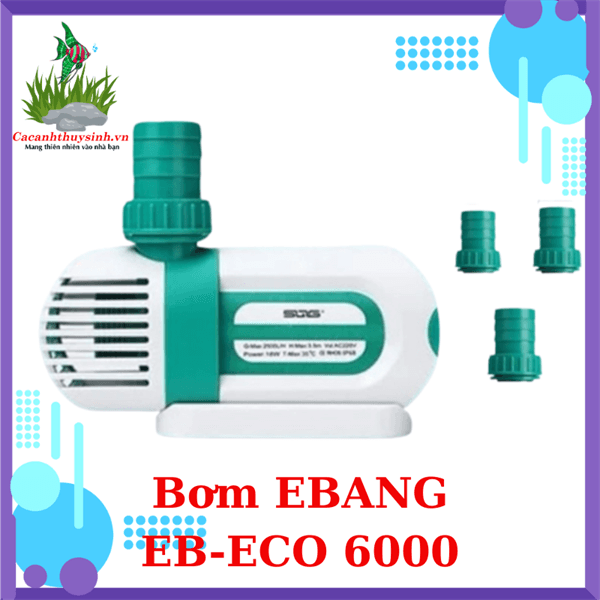 MÁY BƠM EBANG EB ECO - 6000