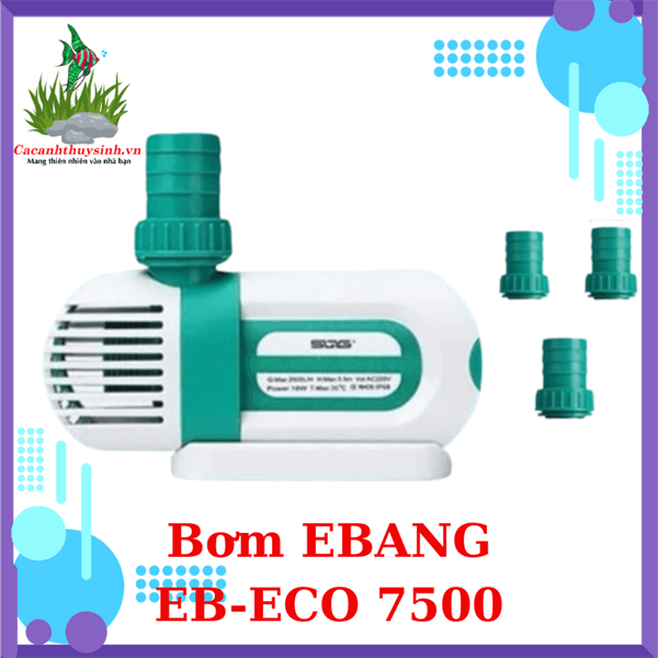 MÁY BƠM EBANG EB ECO - 7500