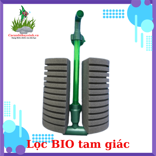LỌC BIO TAM GIÁC