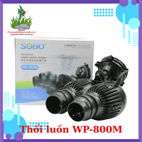 THỔI LUỒN WP-800M