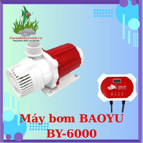 MÁY BƠM BAOYU BY-6000