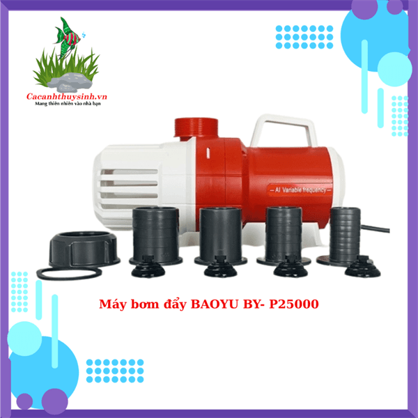 MÁY BƠM ĐẨY BAOYU BY-P25000