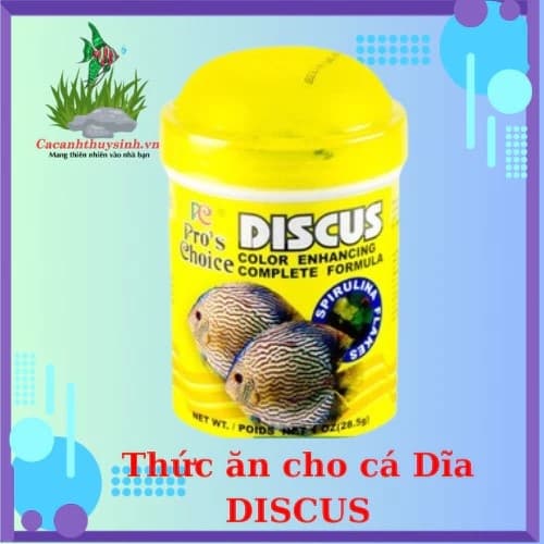 THỨC ĂN CÁ DĨA BÁNH