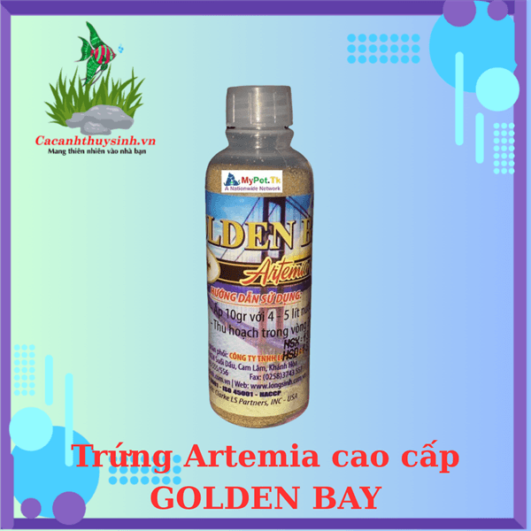 GOLDEN BAY TRỨNG ARTEMIA