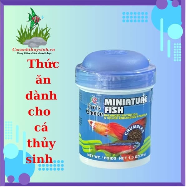 TP CÁ THỦY SINH (MINIATURE FISH)