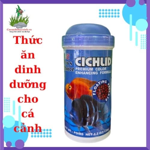 TP CÁ HỒNG KÉT (CICHILD)