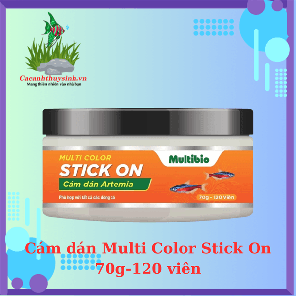 CÁM DÁN MULTI COLOR STICK ON 70GR-120 VIÊN