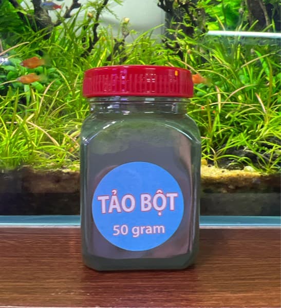 TẢO BỘT 50GR