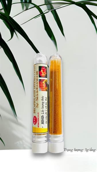 PHÔI ARTERMIA SẤY KHÔ ỐNG 3GR