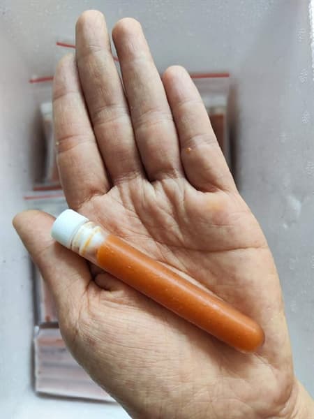 ARTEMIA TƯƠI ỐNG 5ML