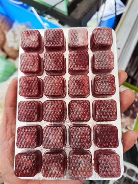 TRÙNG HUYẾT VĨ