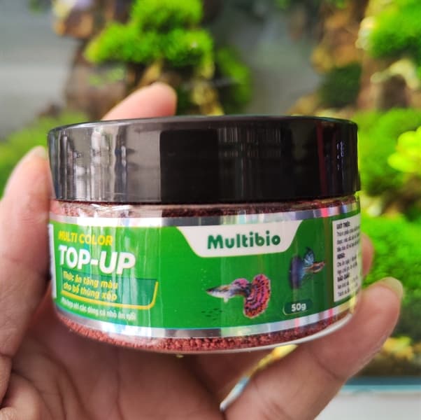 CÁM MULTI COLOR TOP-UP 50GR