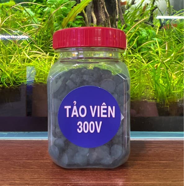 TẢO VIÊN 300V