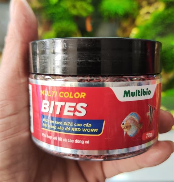 CÁM SÂU ĐỎ MULTI COLOR BITES 70GR