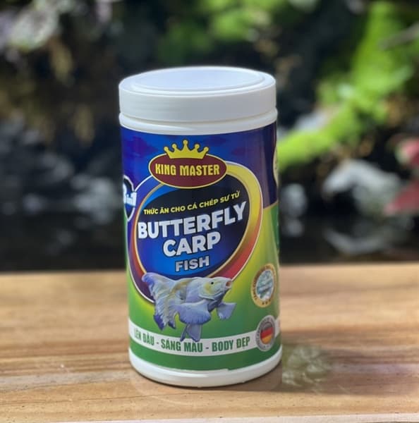 TP CÁ CHÉP SƯ TỬ BUTTERFLY CARP