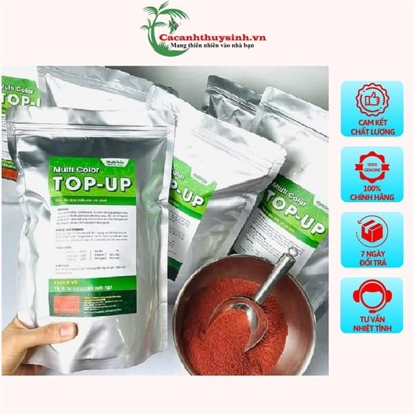 CÁM TOP-UP 2/3